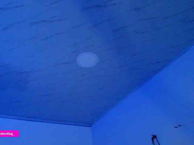 Nicorobin webcam
