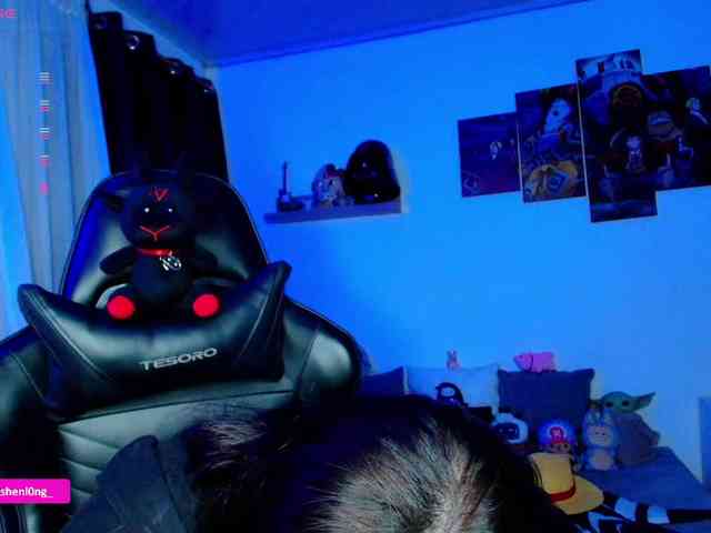 Nicorobin webcam