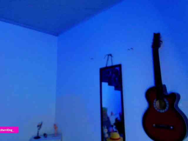 Nicorobin webcam