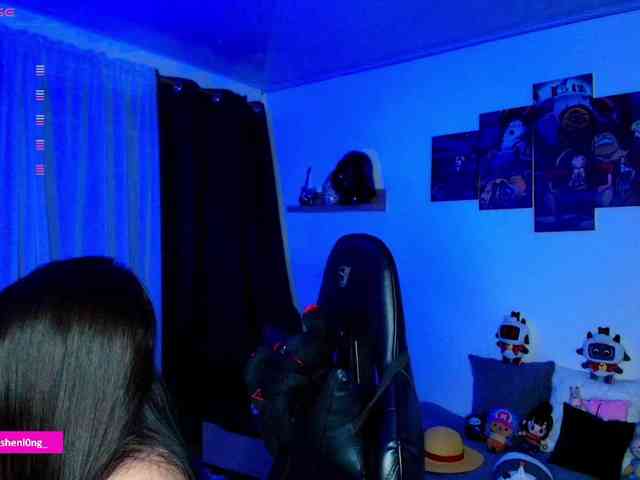 Nicorobin webcam