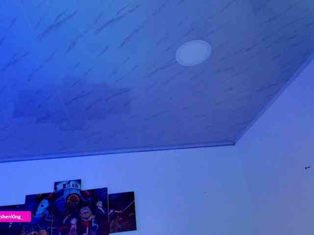 Nicorobin webcam