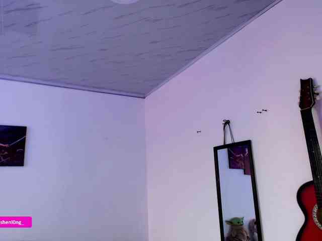 Nicorobin webcam