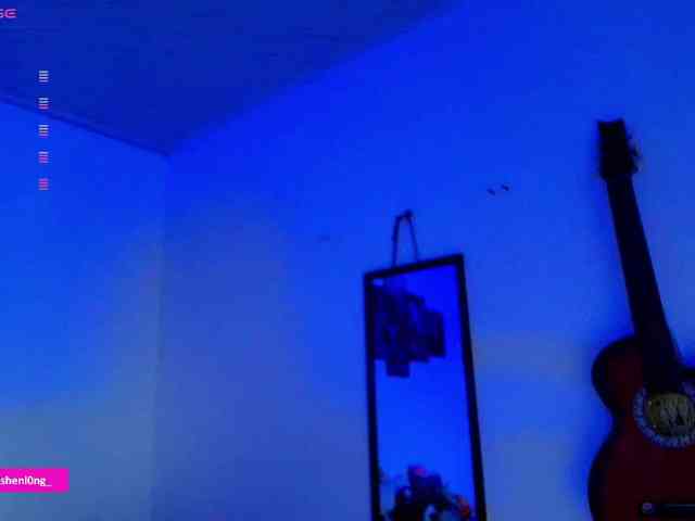 Nicorobin webcam