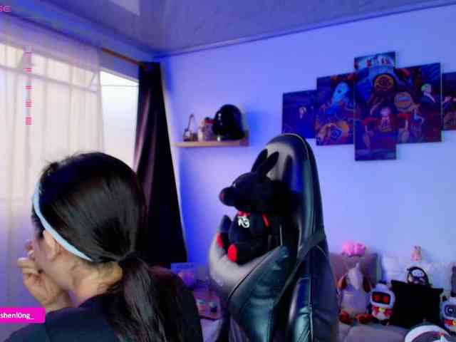 Nicorobin webcam