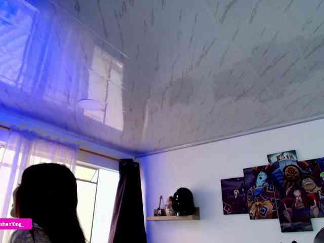 Nicorobin webcam