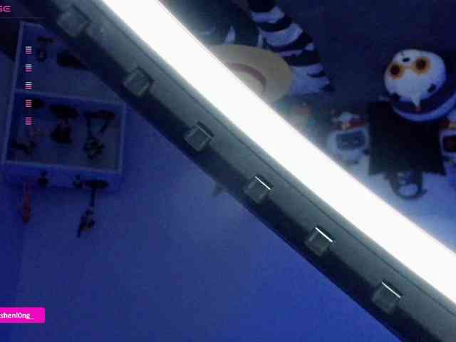 Nicorobin webcam