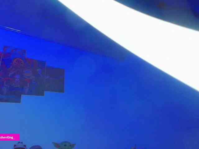 Nicorobin webcam