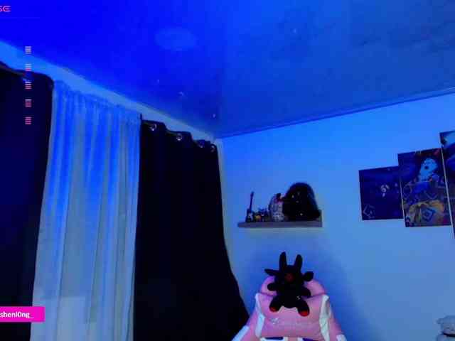 Nicorobin webcam