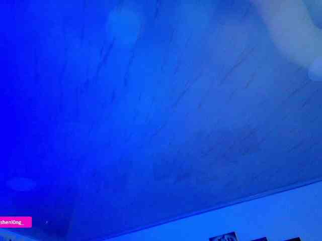 Nicorobin webcam