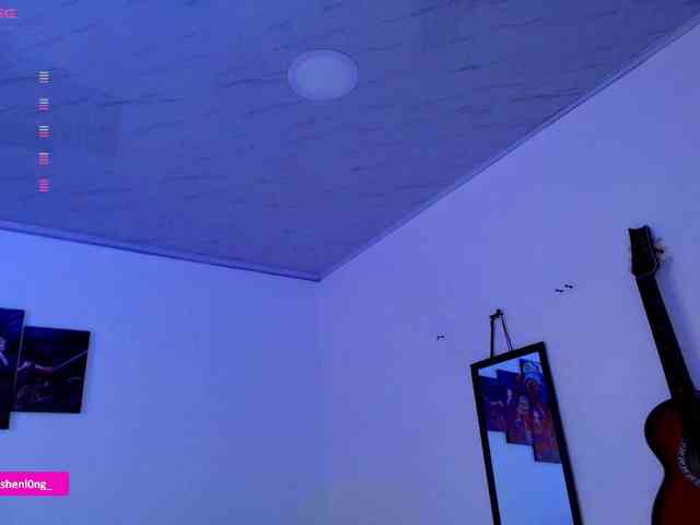 Nicorobin webcam