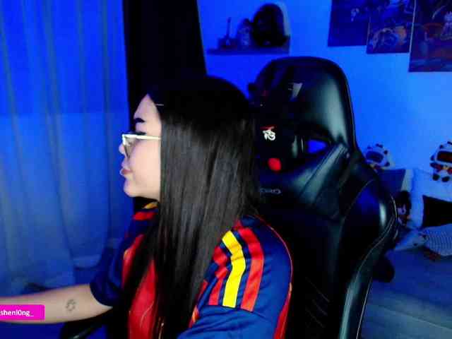 Nicorobin webcam