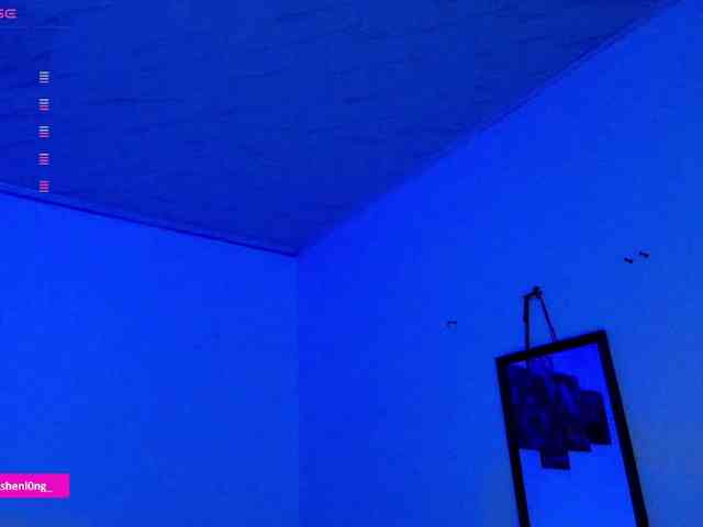 Nicorobin webcam