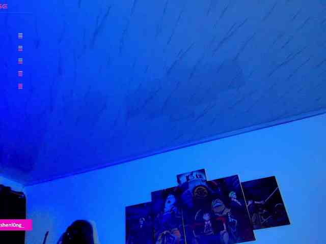Nicorobin webcam