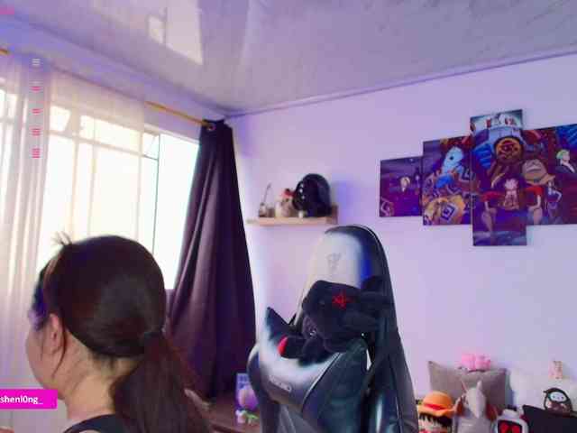 Nicorobin webcam