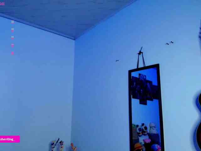 Nicorobin webcam