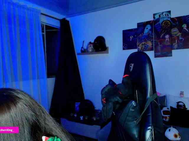 Nicorobin webcam