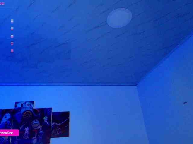 Nicorobin webcam