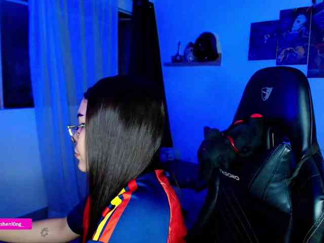 Nicorobin webcam
