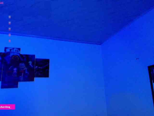 Nicorobin webcam