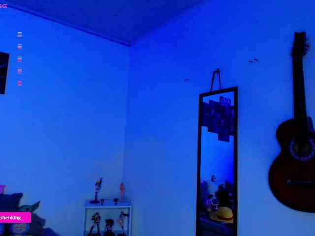 Nicorobin webcam