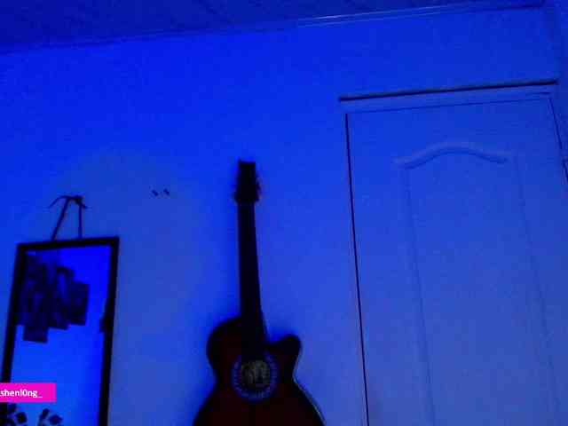 Nicorobin webcam