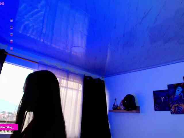 Nicorobin webcam