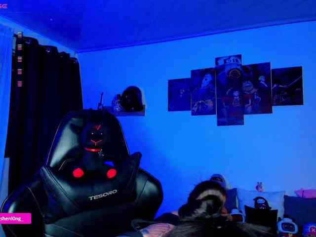 Nicorobin webcam