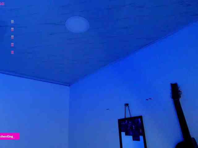 Nicorobin webcam