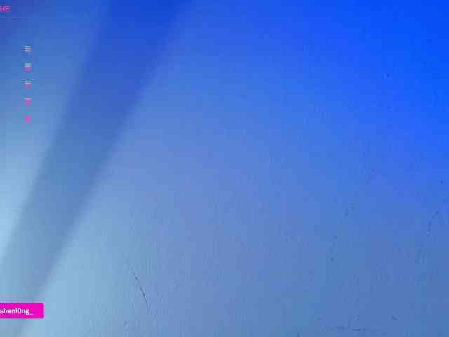 Nicorobin webcam