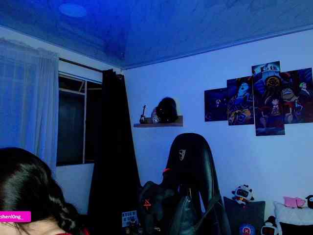 Nicorobin webcam