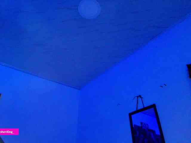 Nicorobin webcam