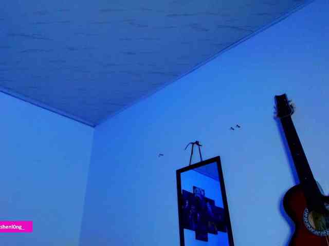 Nicorobin webcam