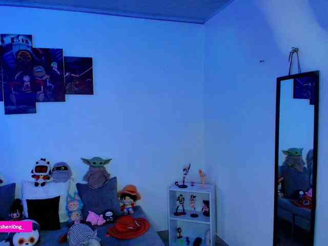 Nicorobin webcam