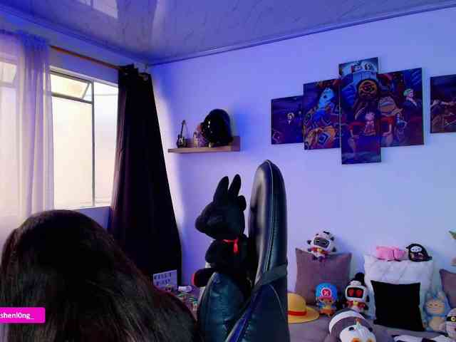 Nicorobin webcam