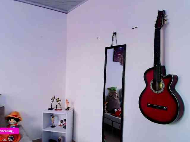 Nicorobin webcam