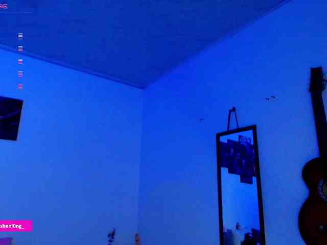 Nicorobin webcam