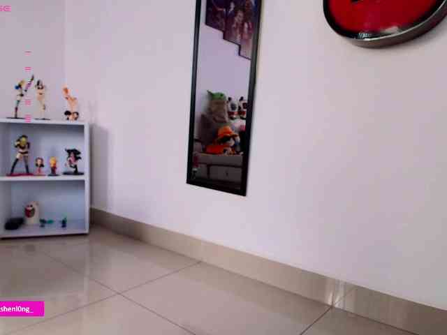 Nicorobin webcam