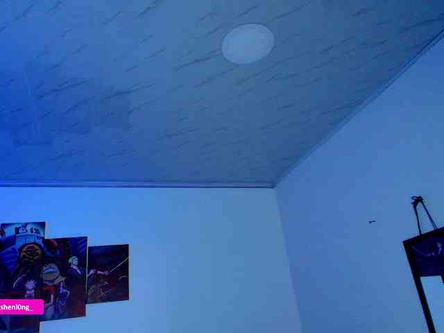 Nicorobin webcam