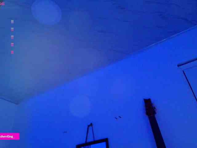 Nicorobin webcam