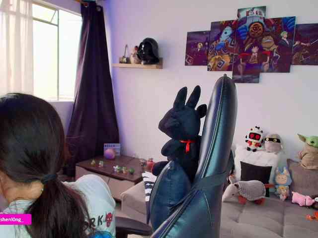 Nicorobin webcam