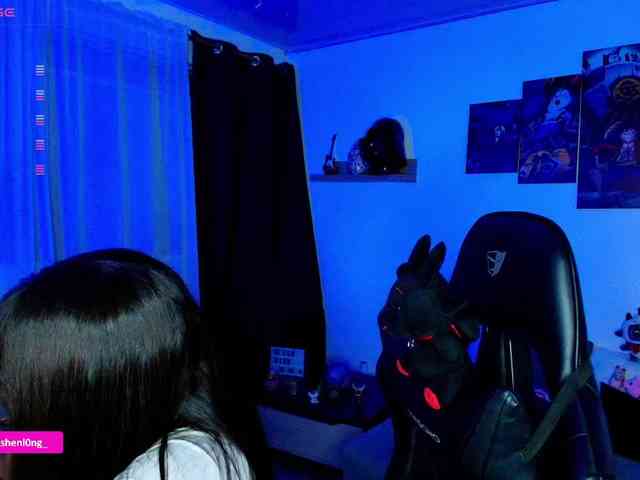 Nicorobin webcam