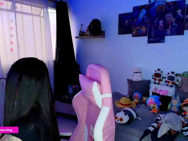 Nicorobin webcam