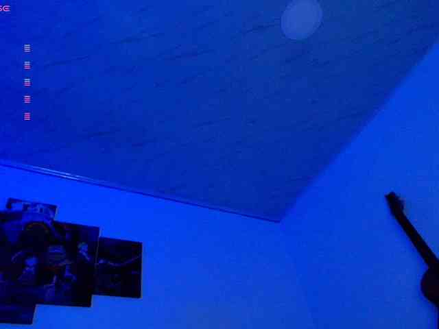 Nicorobin webcam