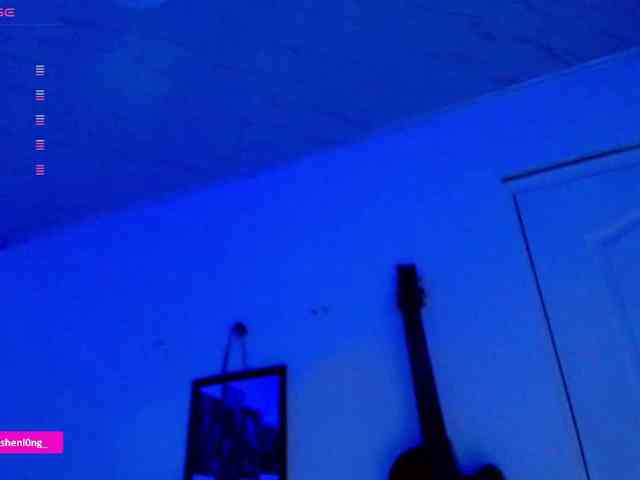 Nicorobin webcam