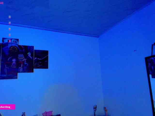 Nicorobin webcam