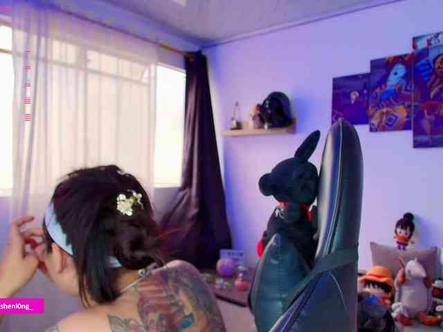 Nicorobin webcam