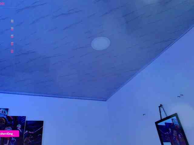 Nicorobin webcam