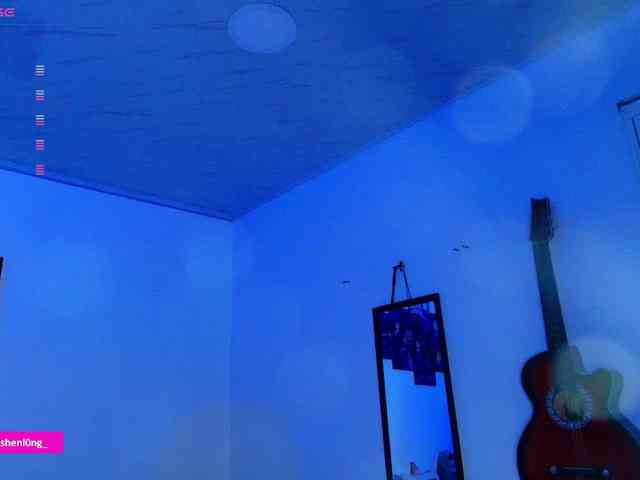 Nicorobin webcam
