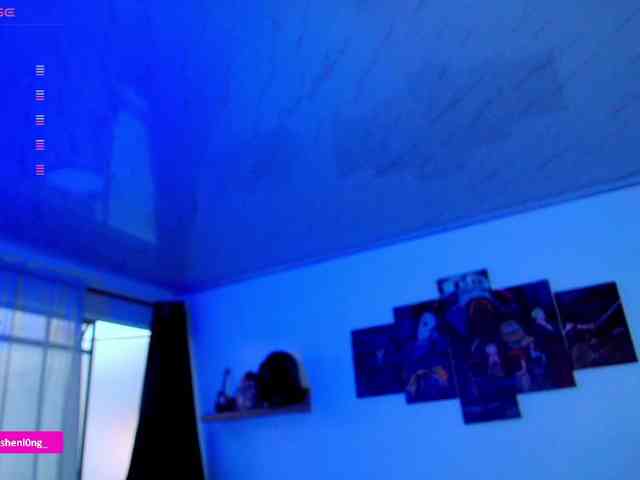 Nicorobin webcam