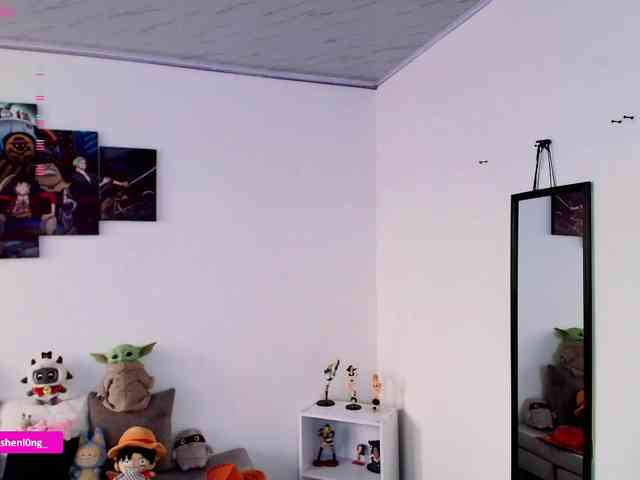 Nicorobin webcam